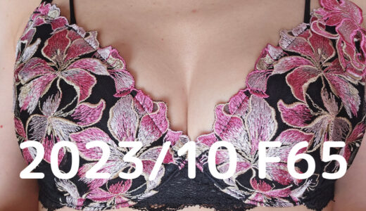 授乳経験2回・31歳女の育乳記録（5ヶ月目・F65～G65）