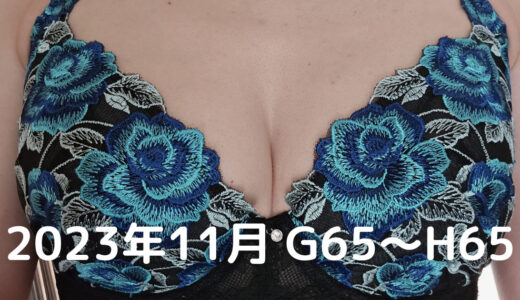 【31歳・授乳経験2回】育乳記録6ヶ月目（G65～H65）