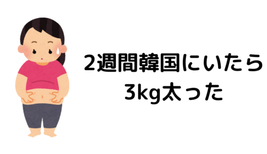 2週間の韓国旅行で3kg太ったヨ！体型の変化が凄まじいヨ！